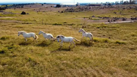 Casa rústica en calle Ferrocarril Legua