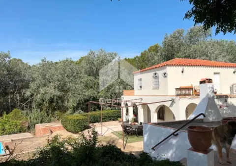 Casa en calle Camí de Les Oliveres