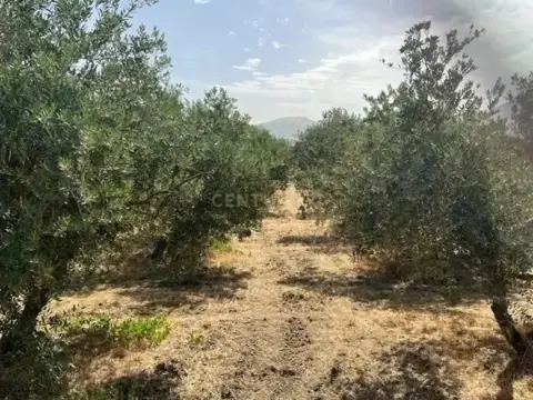 Terreno en calle Jueves Por La Maqana, nº Poligono 3