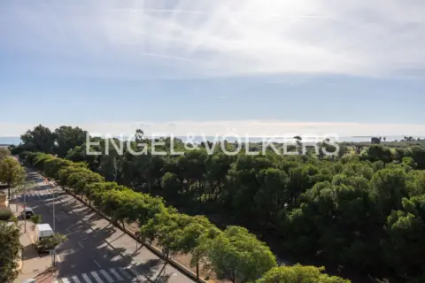 Piso en calle Jaume Roig