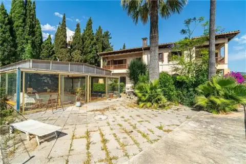 Casa – Palma