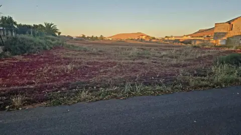 Terreno en calle Las Parteras, 16