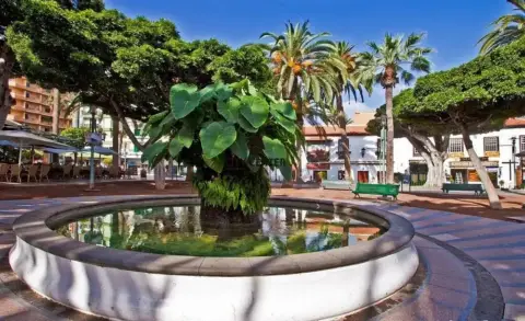 Estudio en Playa Jardín