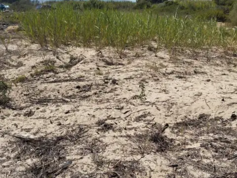 Terreno en Carretera Rinconcillo