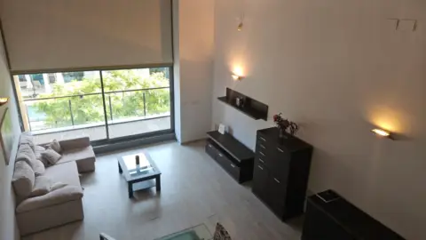 Loft en Carrer de la Creu Roja