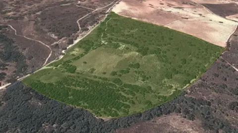 Terreno en Carretera de Madrid, 20