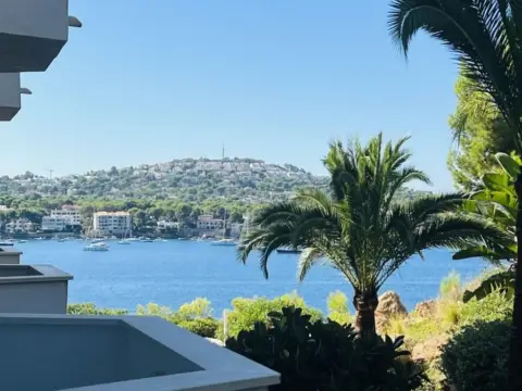 Estudio en Costa de la Calma