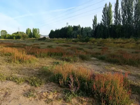 Chalet en calle Camino Via Pinar Ramal 1