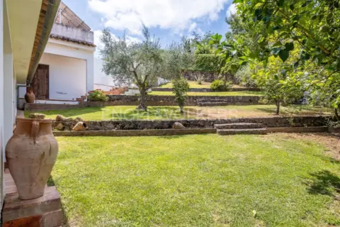 Casa en La Puebla de los Infantes