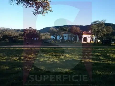 Terreno en calle de Julio Romero de Torres