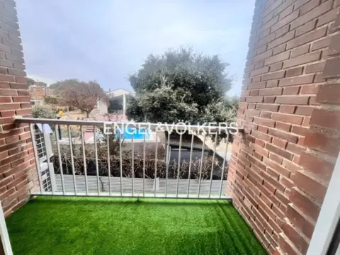 Estudio en La Raya del Palancar-Guadamonte