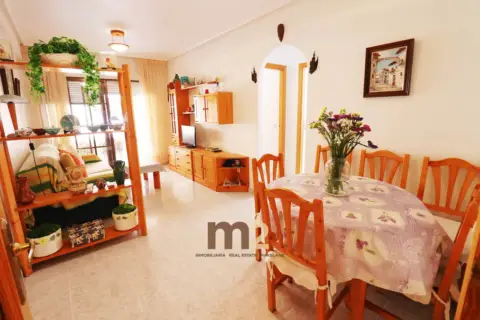 Apartamento en calle Plaza de Ecuador Trives