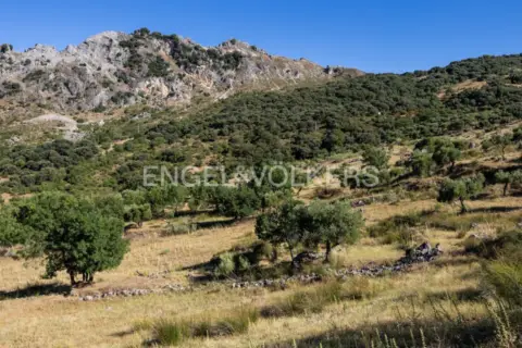 Casa rústica en Grazalema