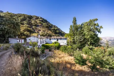 Casa rústica en Grazalema