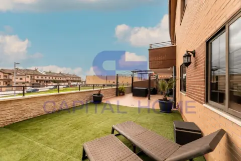 Piso en calle Pino Abeto