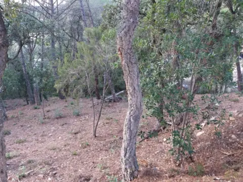 Terreno en Carretera de Bell-lloc