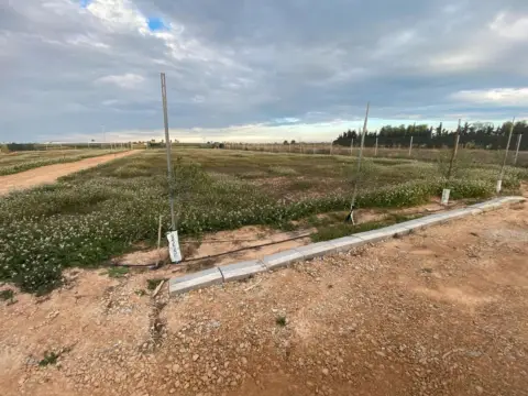 Terreno en Los Alcázares