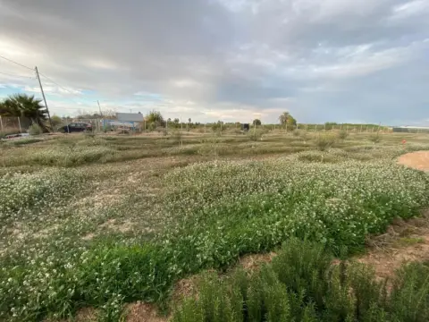 Terreno en Los Alcázares