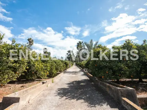 Casa en Barraca de Aguas Vivas