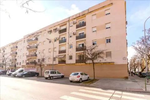 Apartamento en calle Pintor Soriano Quirós