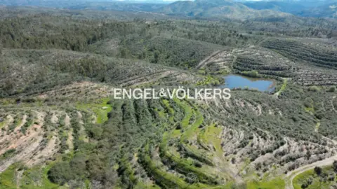 Terreno en Las Torres-Guadalupe