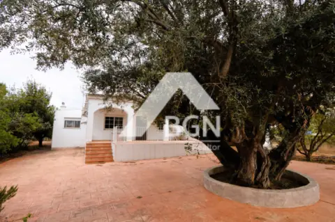 Chalet en calle de Catorce