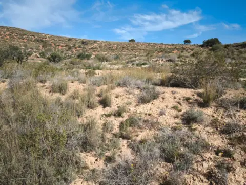 Terreno en calle Poblado Galifa, nº 75