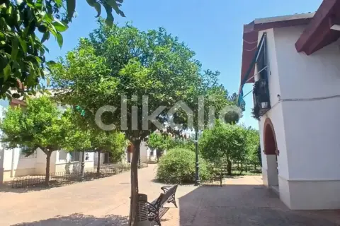 Piso en Palma del Río