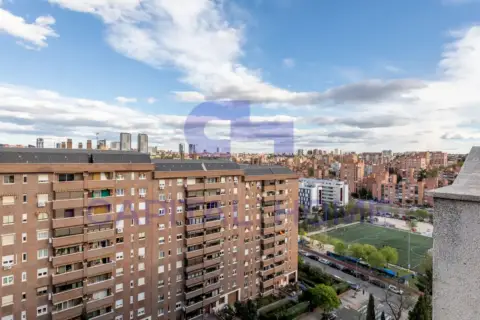 Estudio en calle de la Hiruela