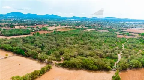 Terreno en Felanitx