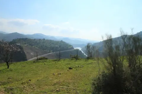 Terreno en Puertosol-El Limonero-El Tomillar