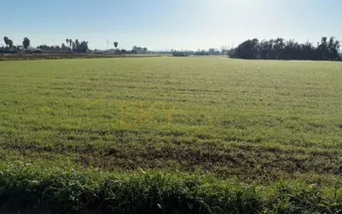 Casa rústica en Sa Pobla