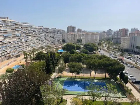Estudio en Avenida de Benidorm