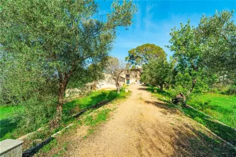 Chalet en Establiments