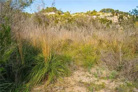 Terreno en Puigpunyent