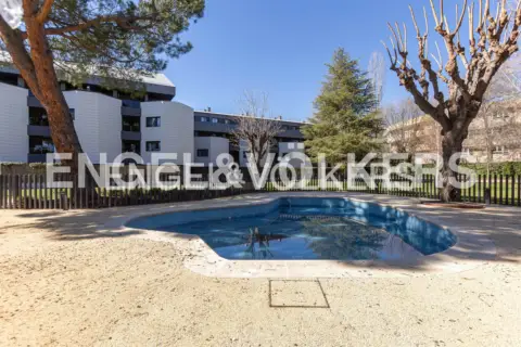 Piso en Club de Golf-Molino de la Hoz