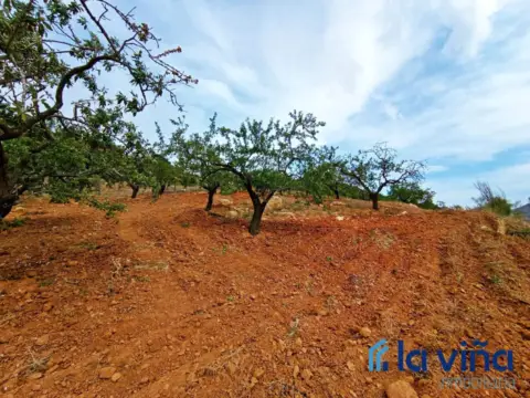 Terreno en Casabermeja