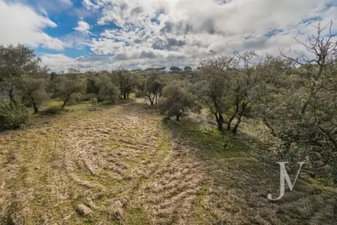 Terreno en calle Lugar Urbanizacion Las Encinas