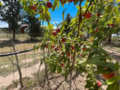 Terreno en Casetas-Garrapinillos-Monzalbarba