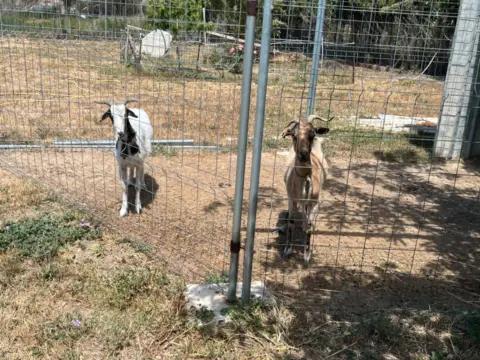 Terreno en Casetas-Garrapinillos-Monzalbarba