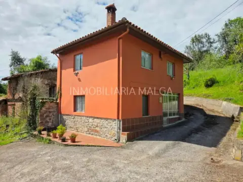 Piso – Colunga