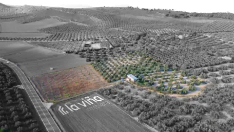 Terreno en Valle de Abdalajís