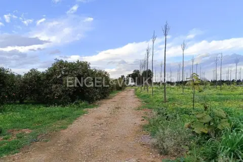 Terreno en La Pedrera-Vessanes