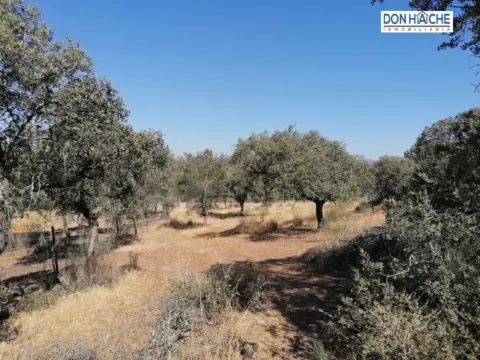 Terreno en calle de Hernán Cortés