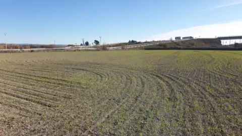Terreno en Las Fuentes-Cartuja Baja