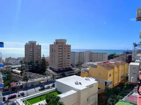 Estudio en Montemar