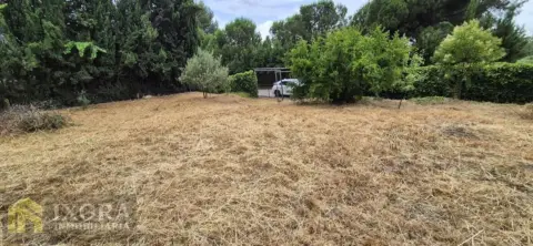 Terreno en calle Ubeda