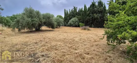 Terreno en calle Ubeda