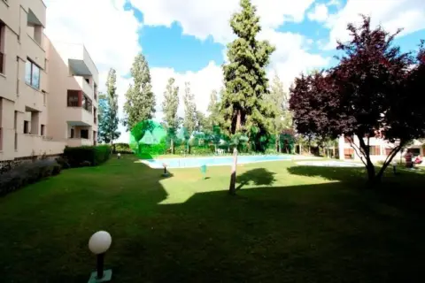 Estudio en calle de los Siete Picos