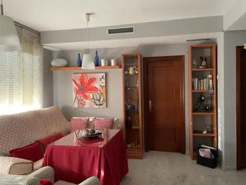 Apartamento en Reina Sofía-Salesianos-Bodegones